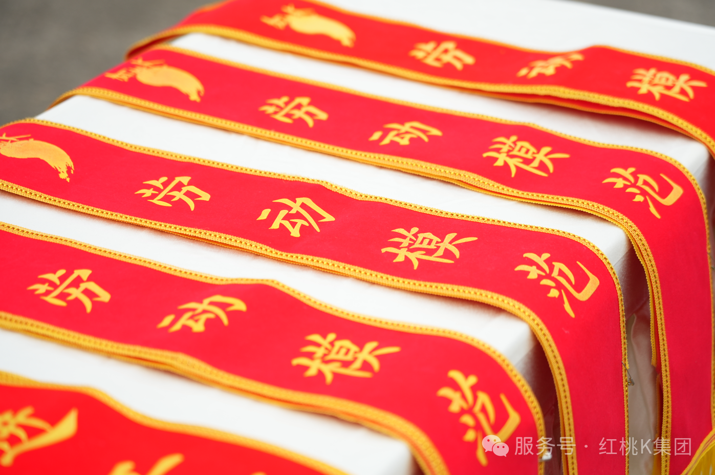 微信图片_2026-04-24_142222_880